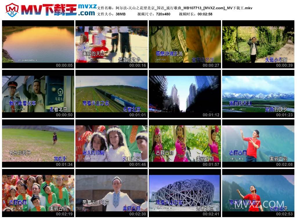 阿尔法-天山之花望北京_国语_流行歌曲_MB107713